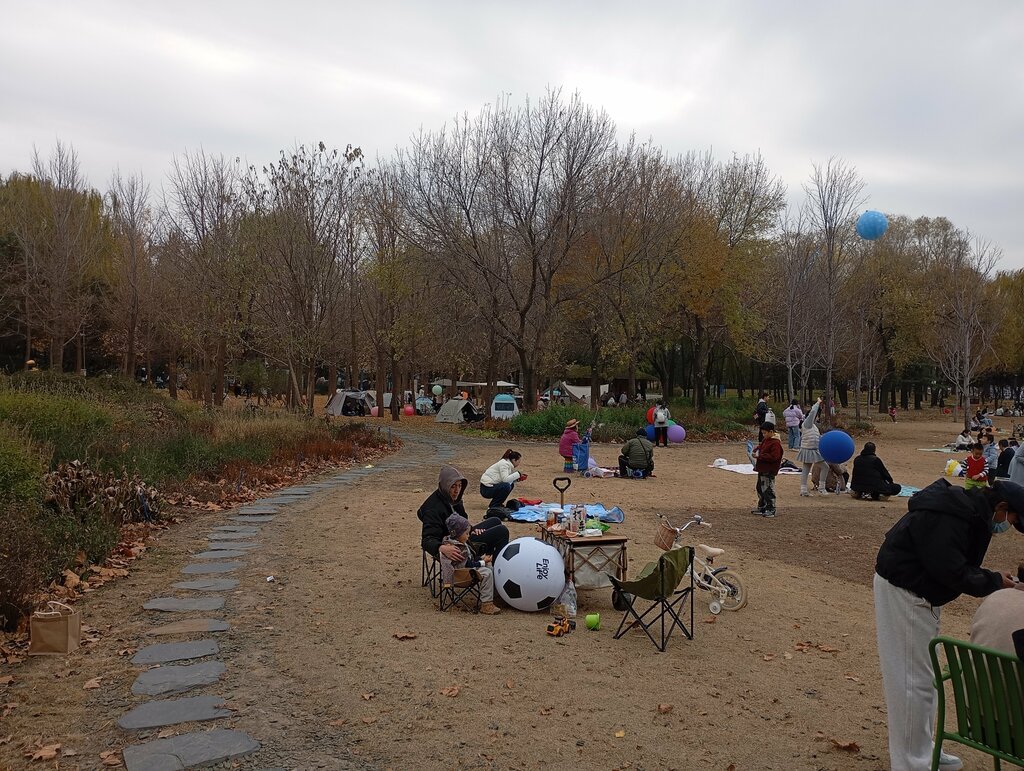 Park Haidian Park, Beijing, photo