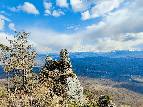 Фото Парадиз