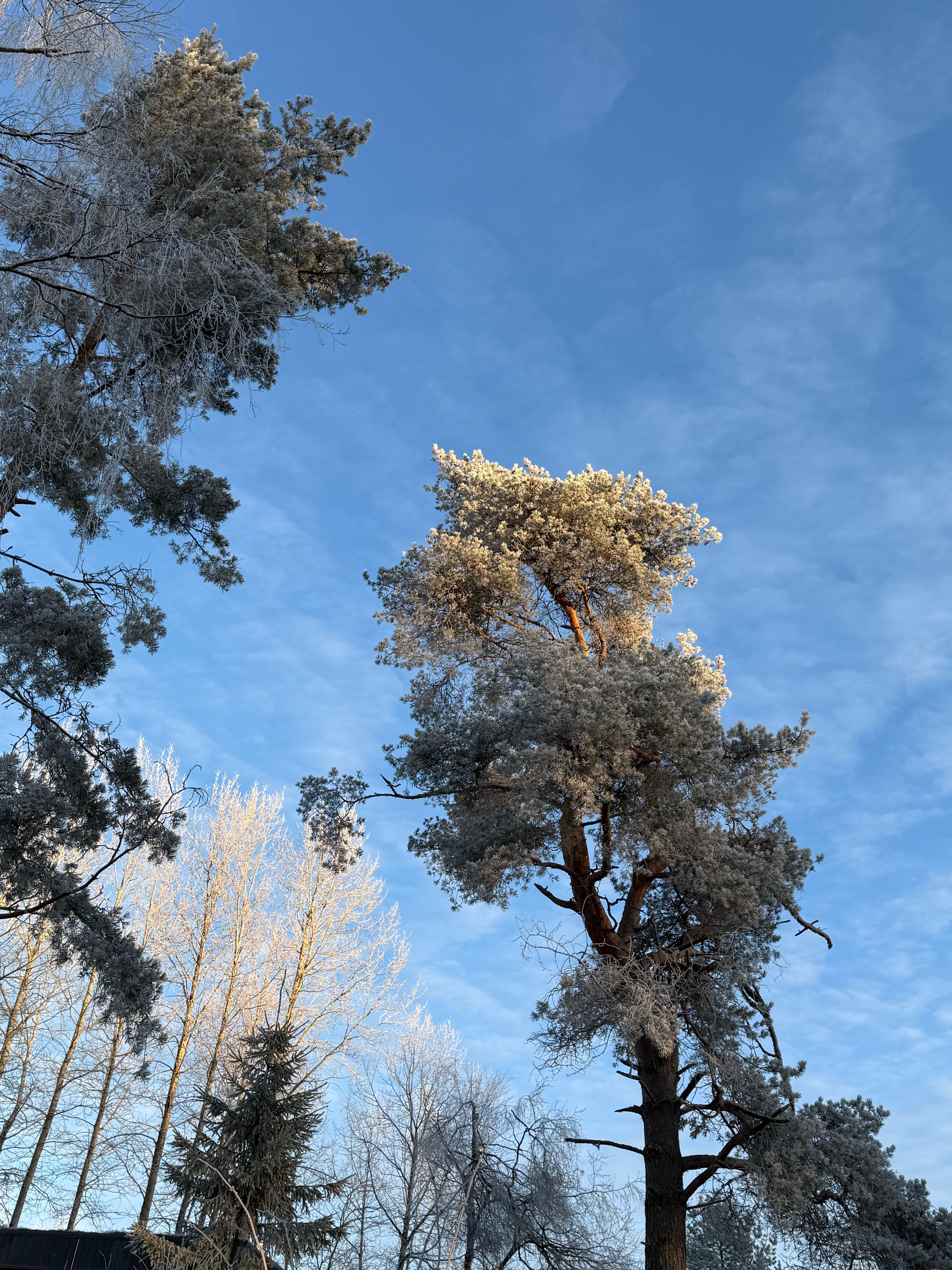 Фото Здесь живут камни