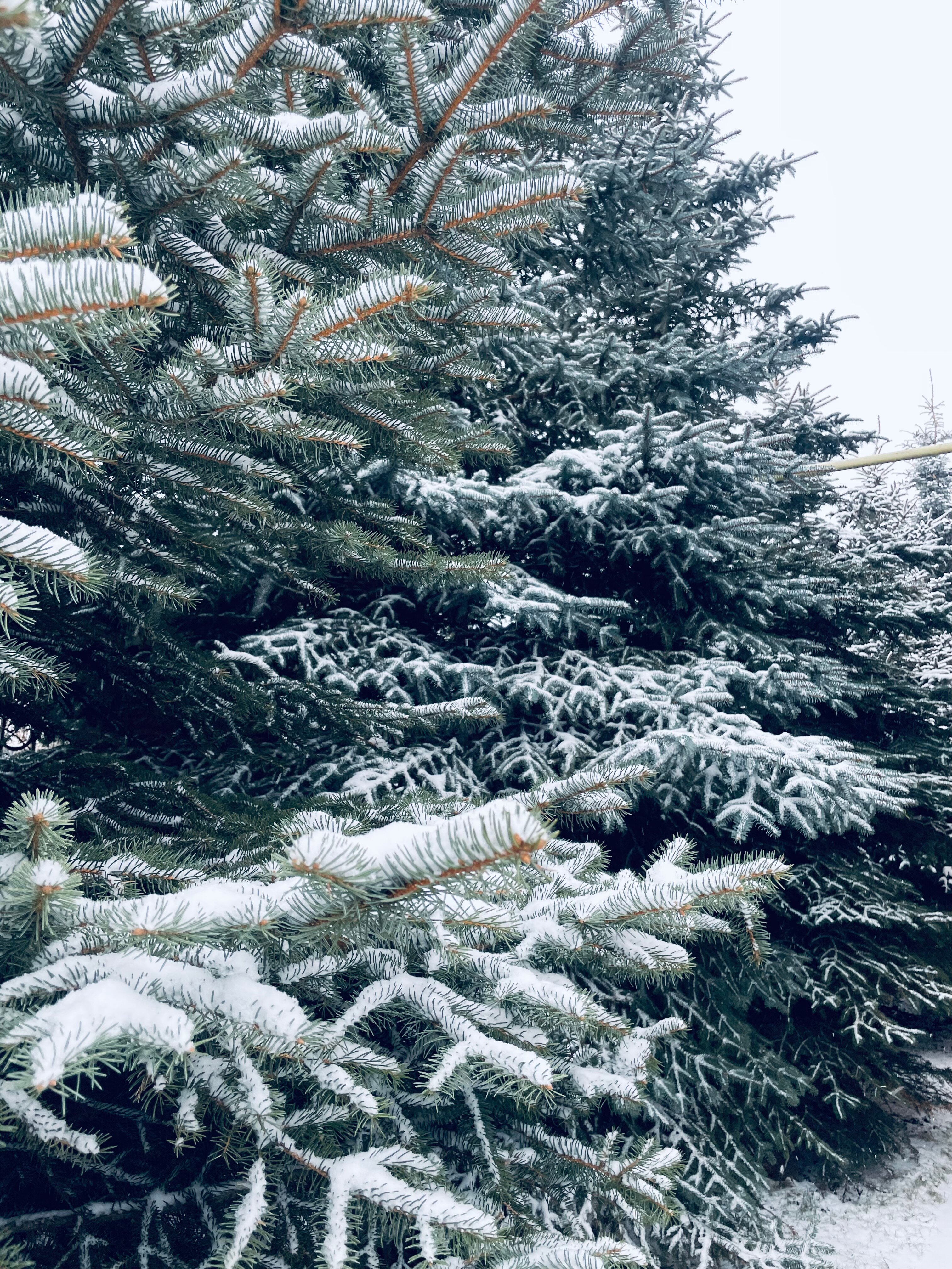 Фото Коттедж на Зелёном