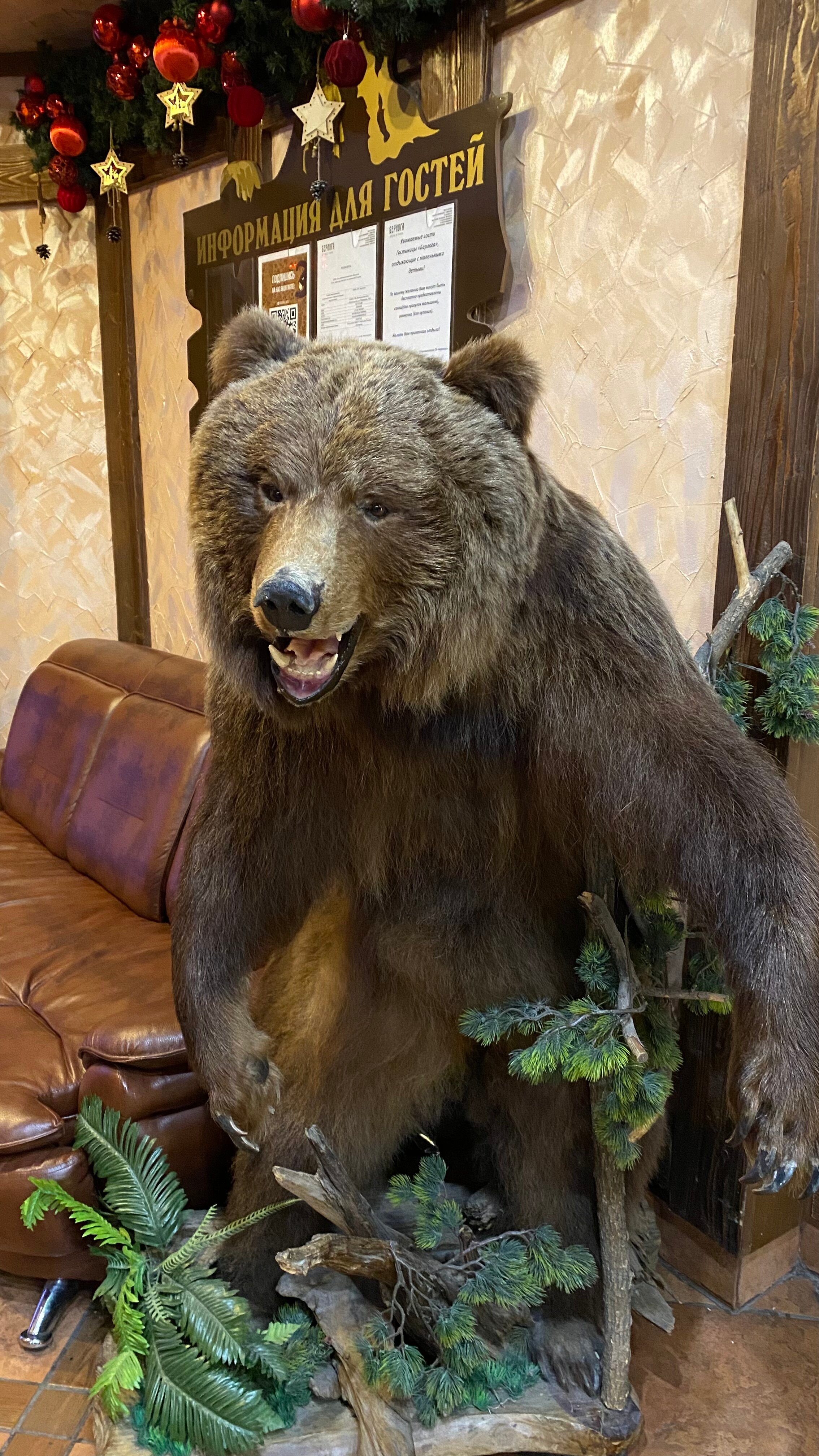 Фото Берлога