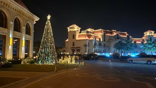 Внешний вид отеля Radisson Blu Forest Manor Hotel Shanghai Hongqiao в Миньхане, фото 2