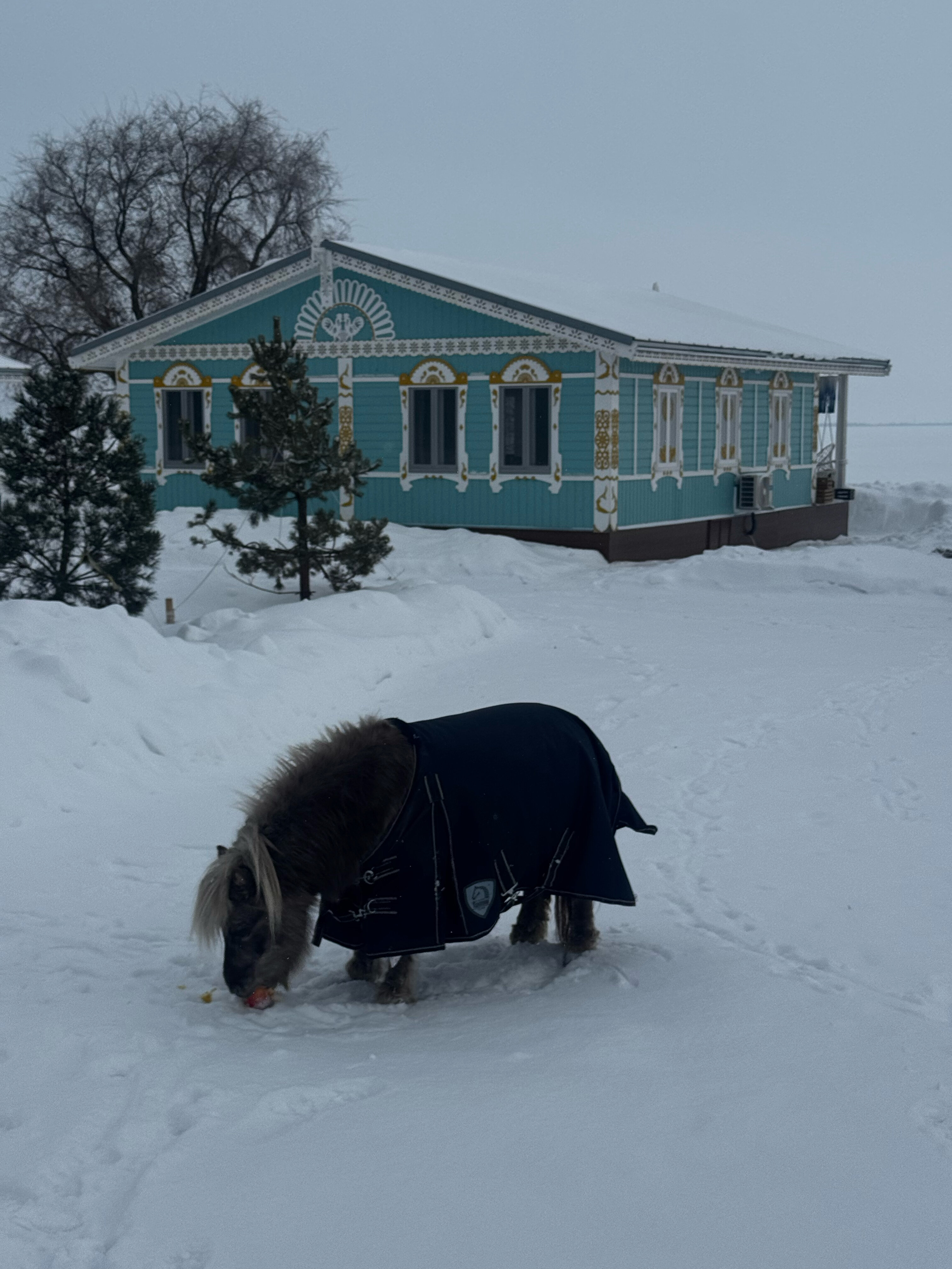 Фото Хвалынская усадьба