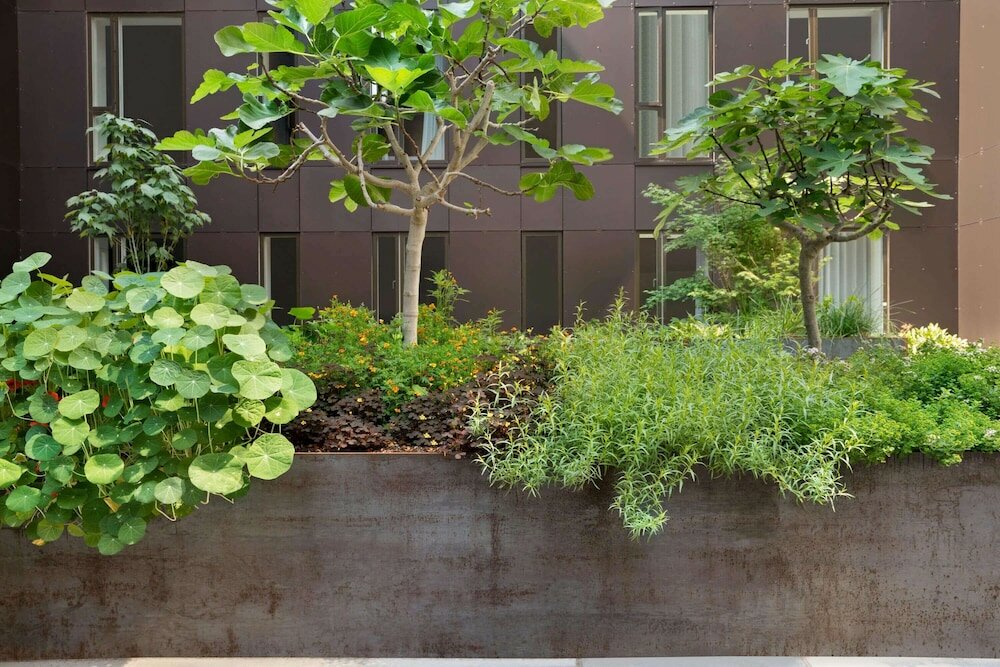 Фото Comwell Copenhagen Portside Dolce by Wyndham