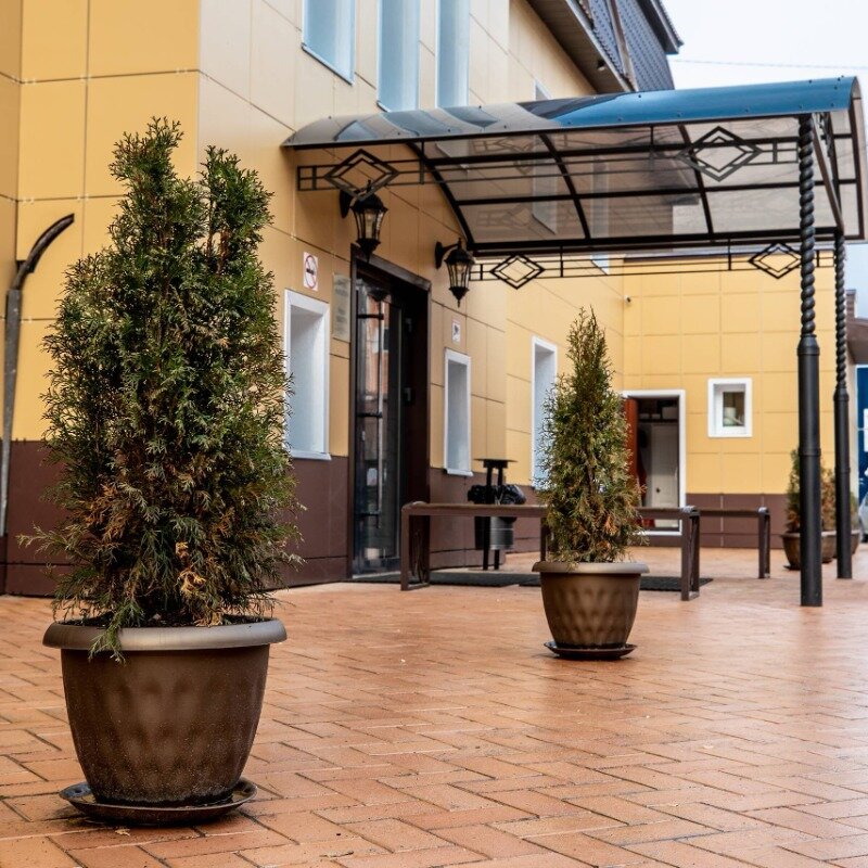 Фото Никитин