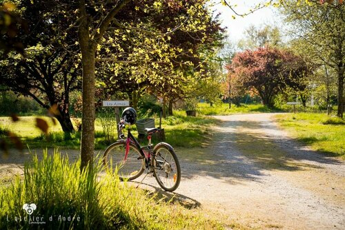 Гостиница Le Domaine de La Barre в Партене