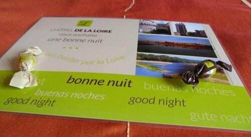 Гостиница Logis De La Loire в Ансенях