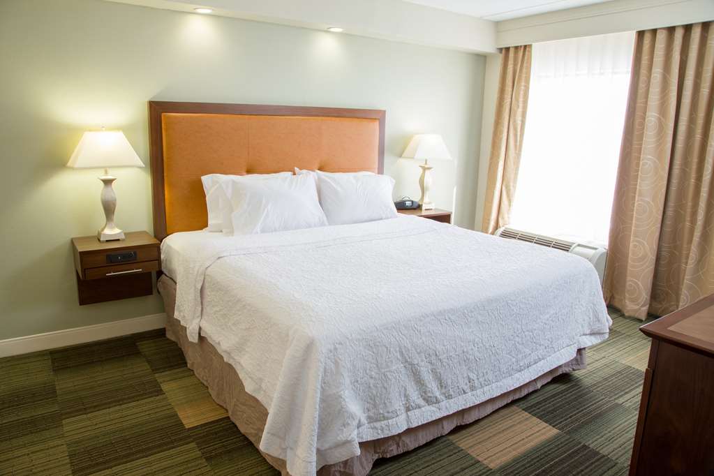 Фото Hampton Inn & Suites Albany-Downtown