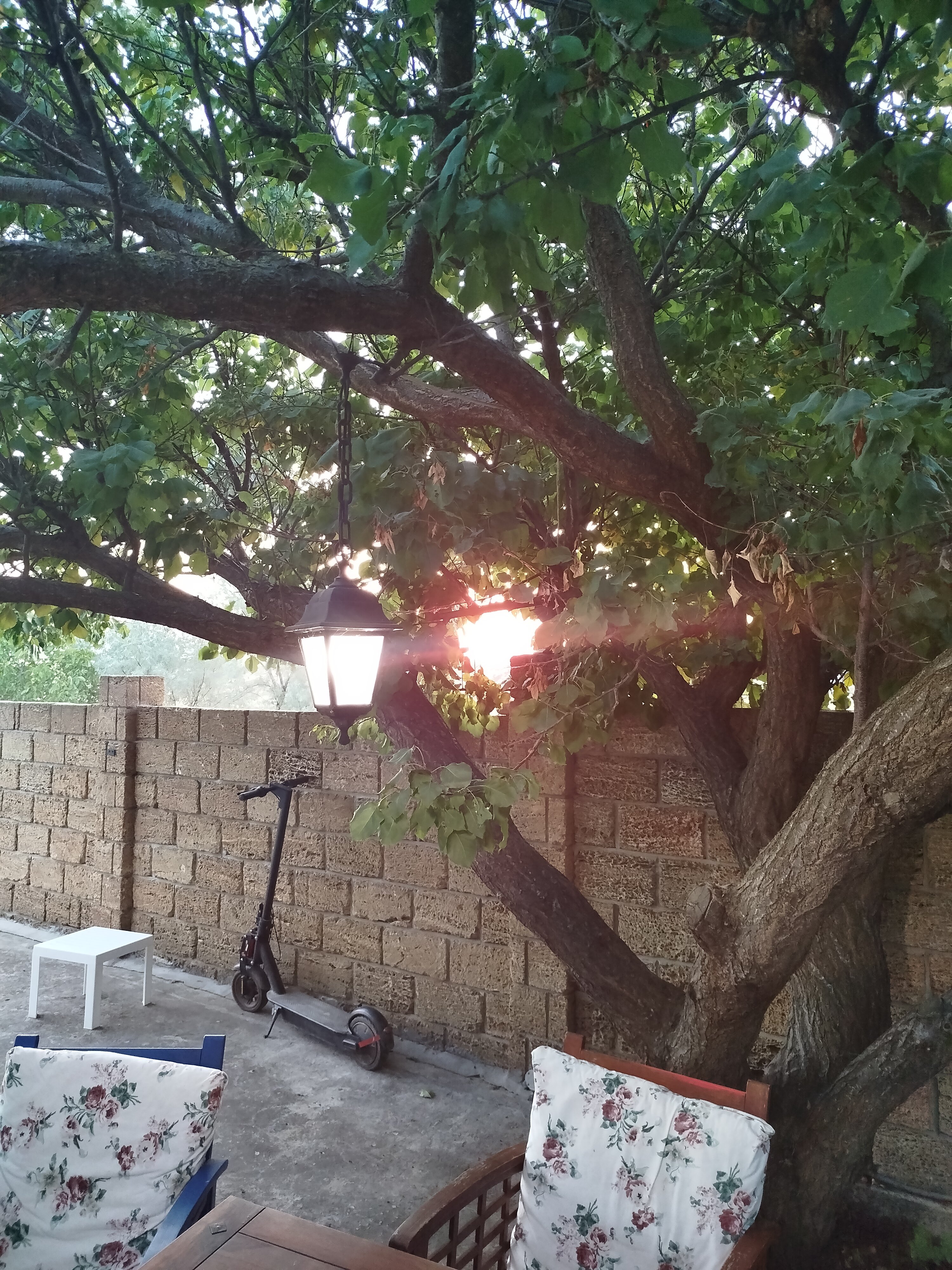 Фото Звёздная Тишина