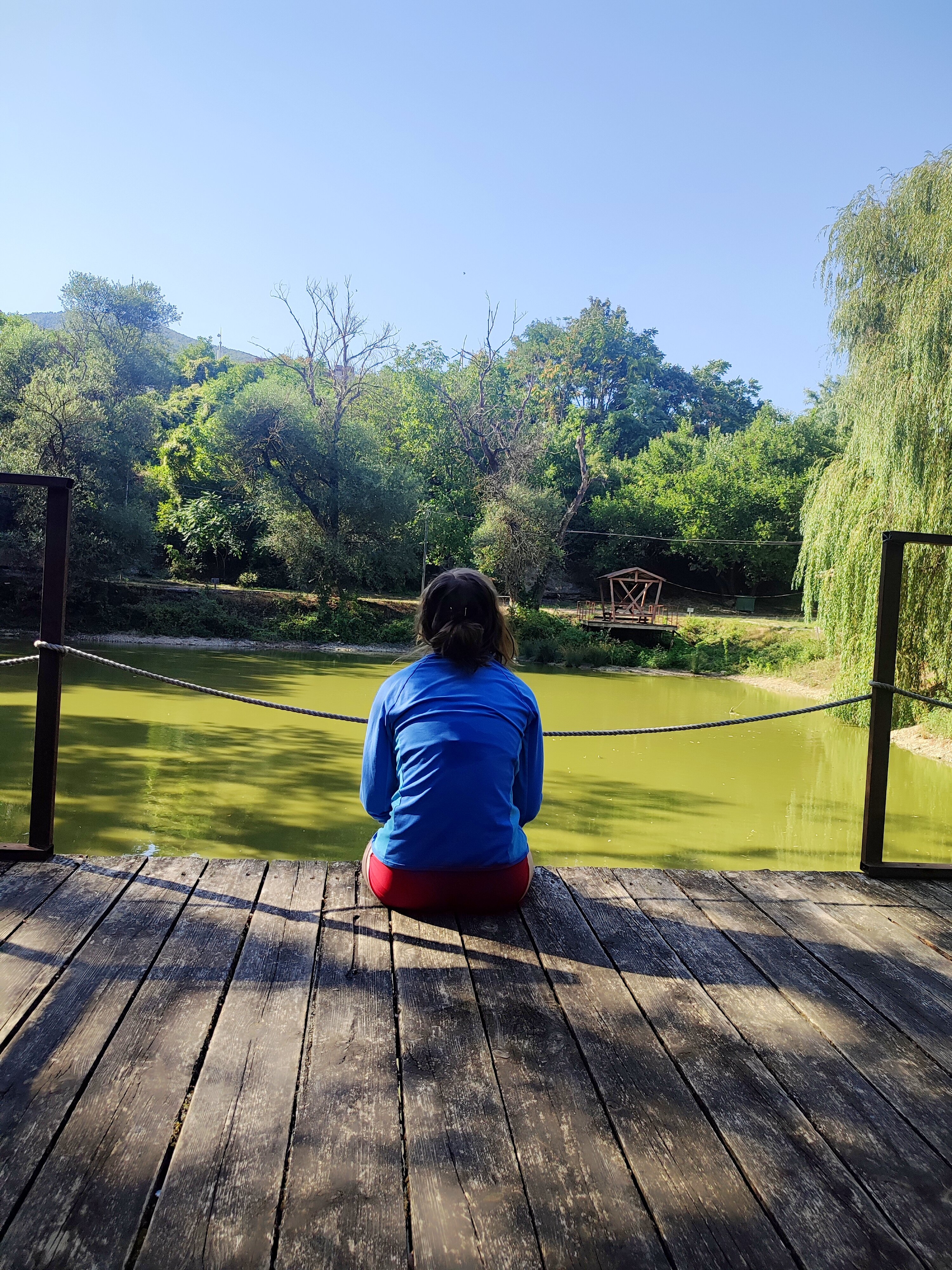 Фото У озера