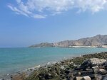 Dibba Bay Farm, trading shop (Rull Dibba, Dibba City), fish and seafood
