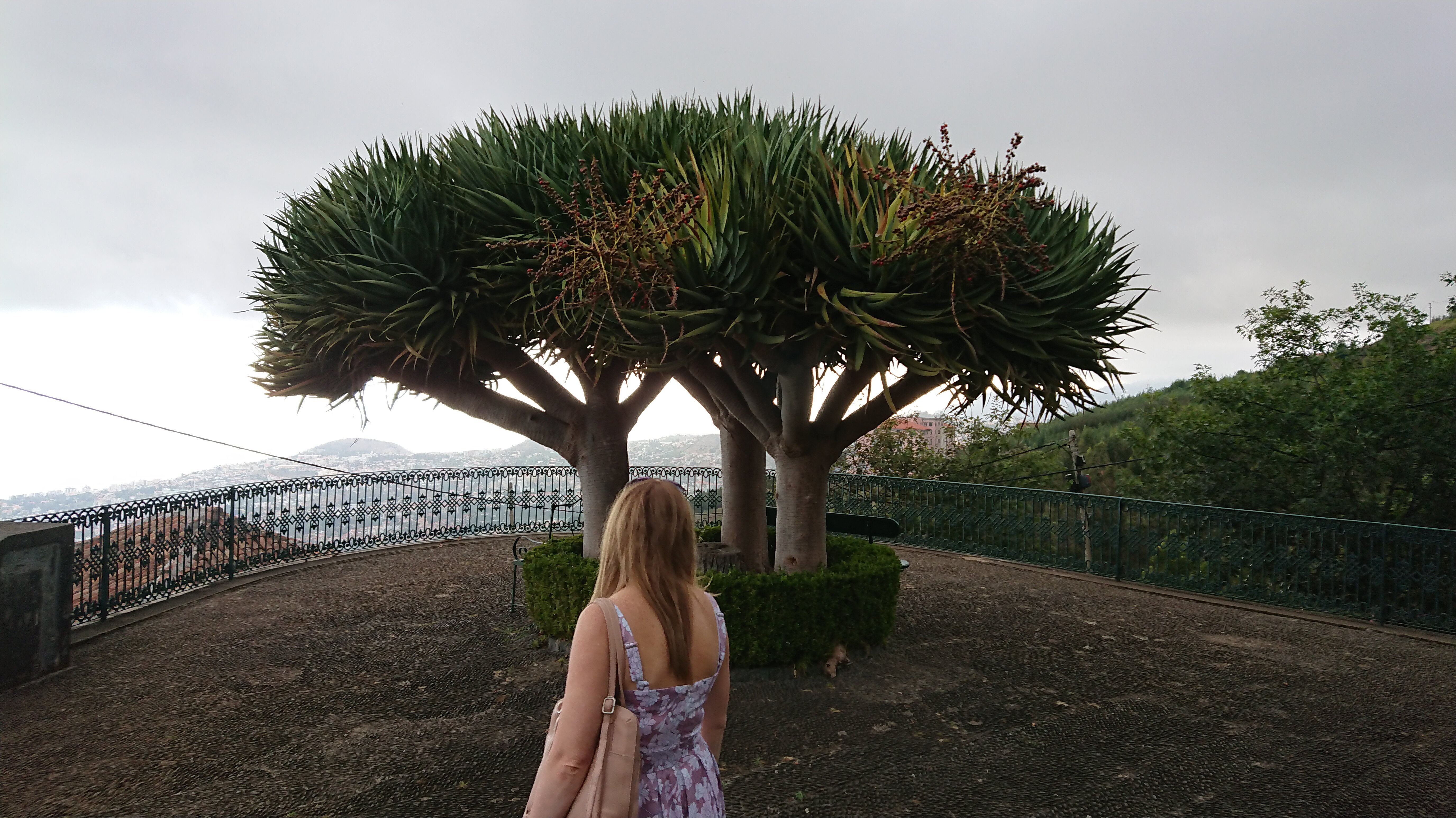 Фото Quinta do Monte Panoramic Gardens