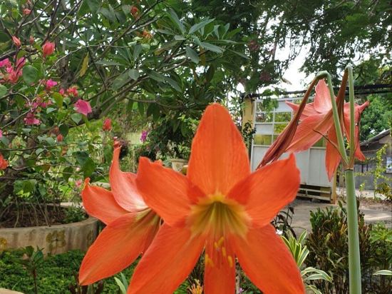 Фото Hanbee's Resort