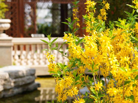 Фото 49132333548