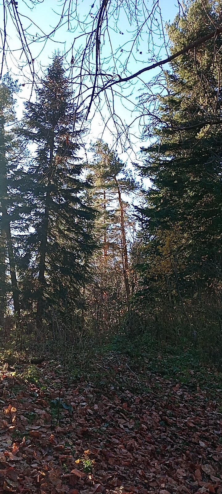 Фото Жемчужный берег