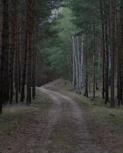 Дом в аренду Шёпот Ветра в Липецкой области