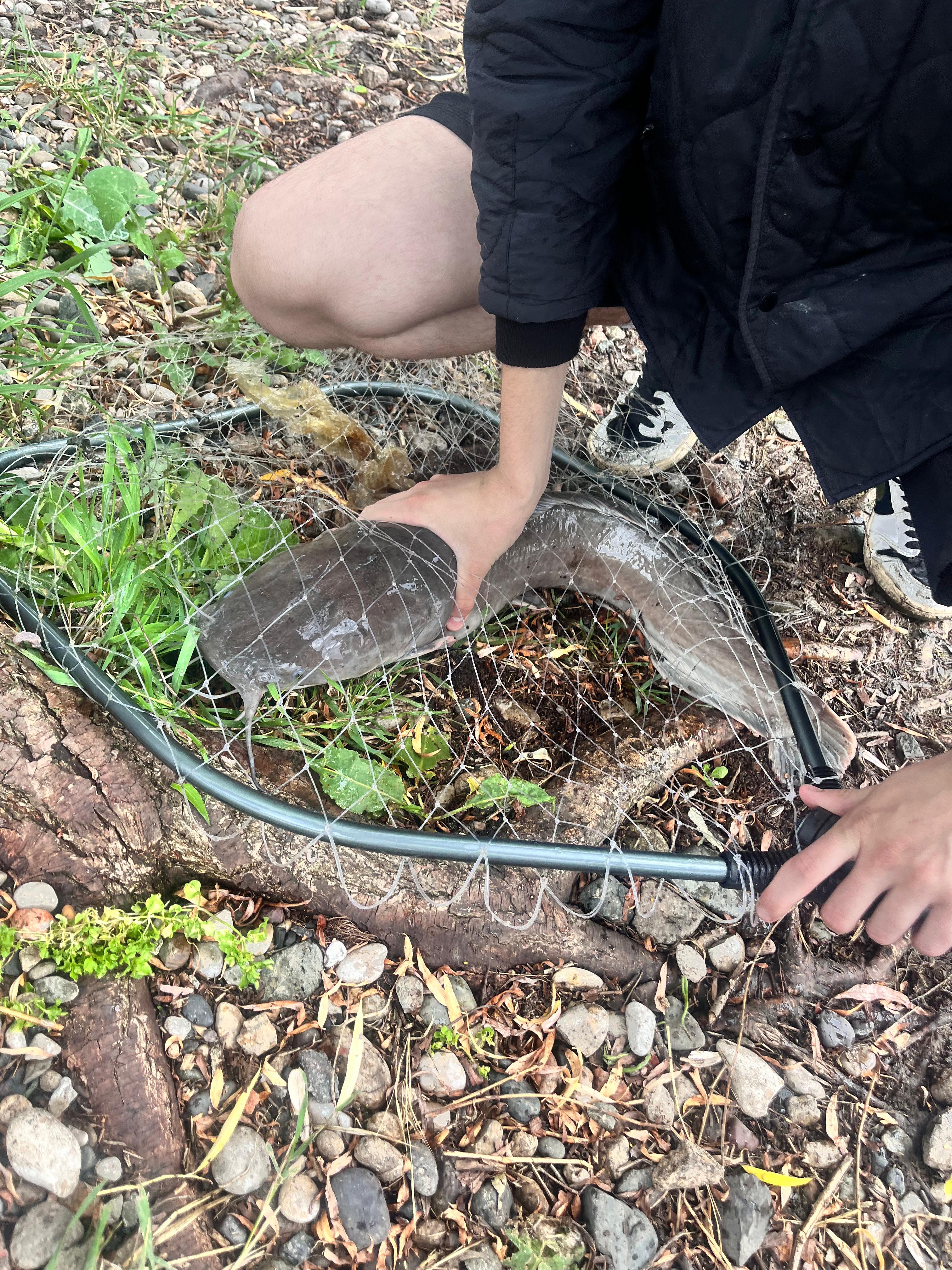 Фото Драгунская застава