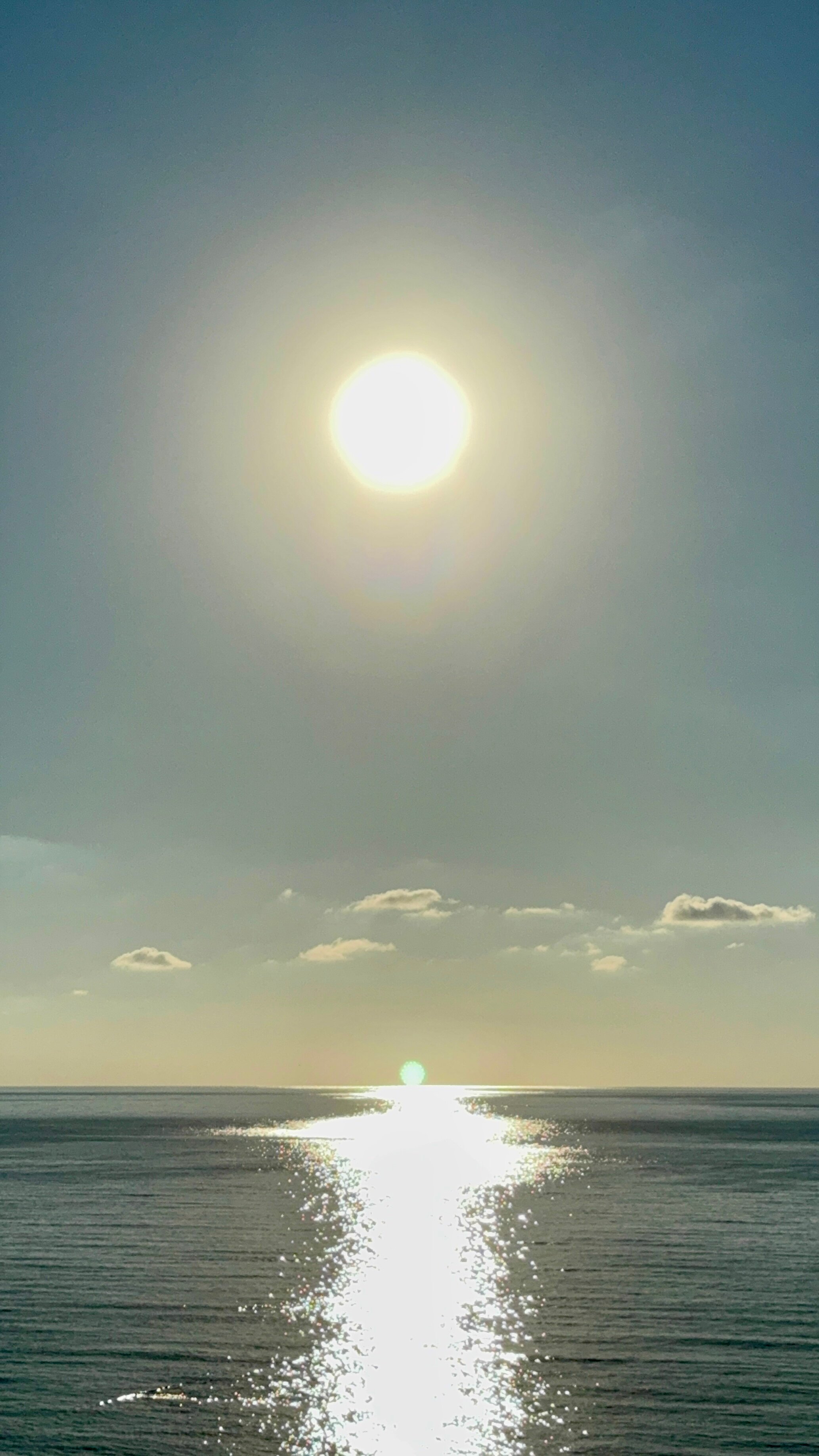 Фото Hotel Neptun 