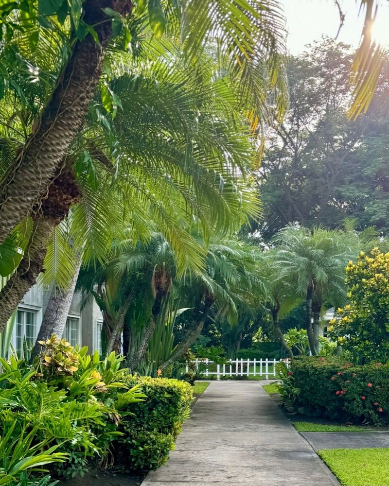 Фото Metrotel Express