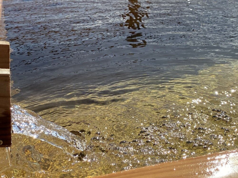 Фото Hotel New Ohruri