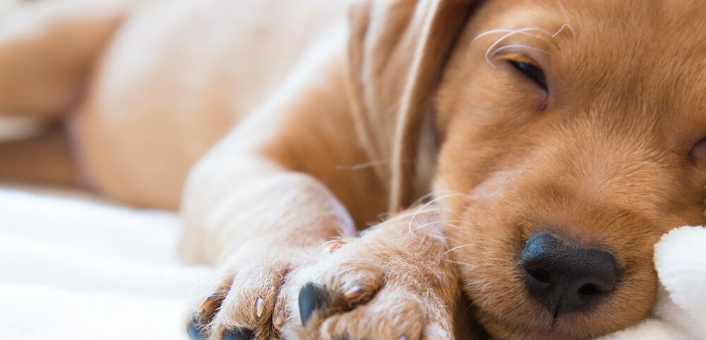 Фото Hotel Bertoluci