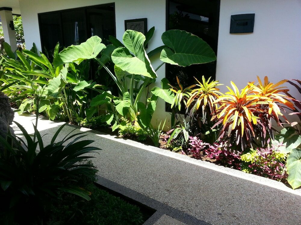 Фото Kelapa Lovina Beach Villas