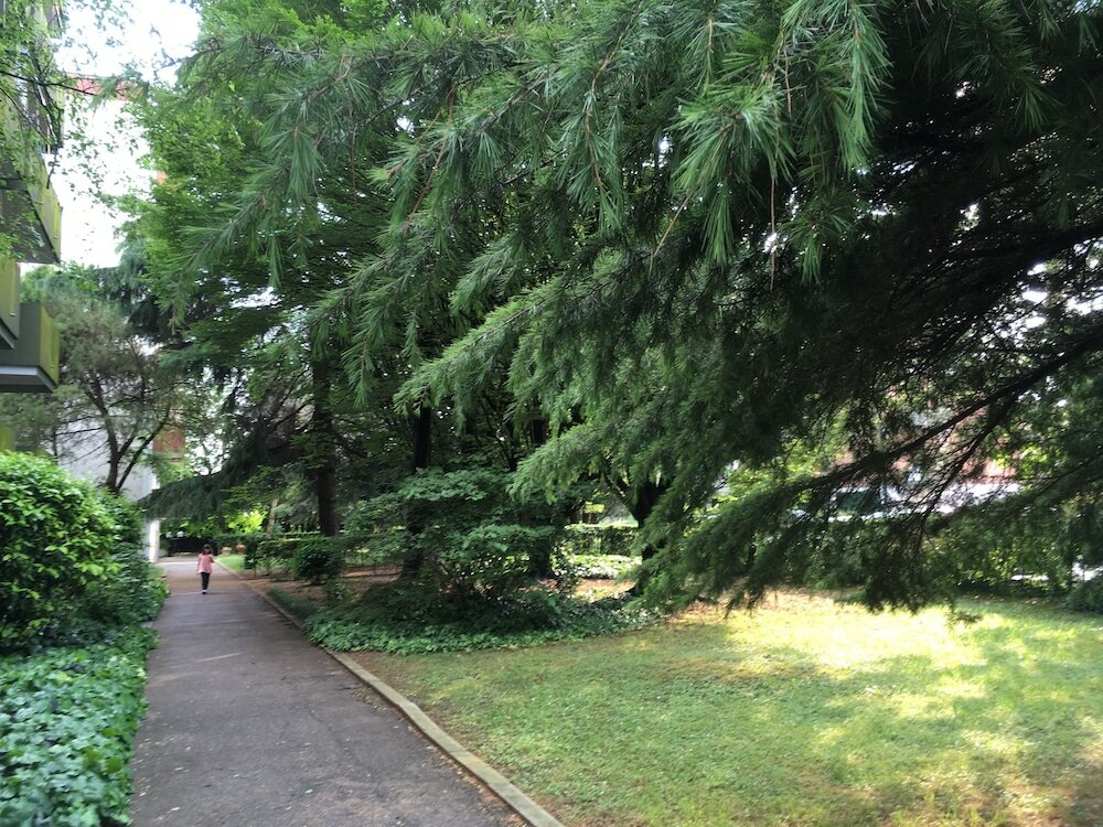 Фото Bed and Breakfast Bio Salix