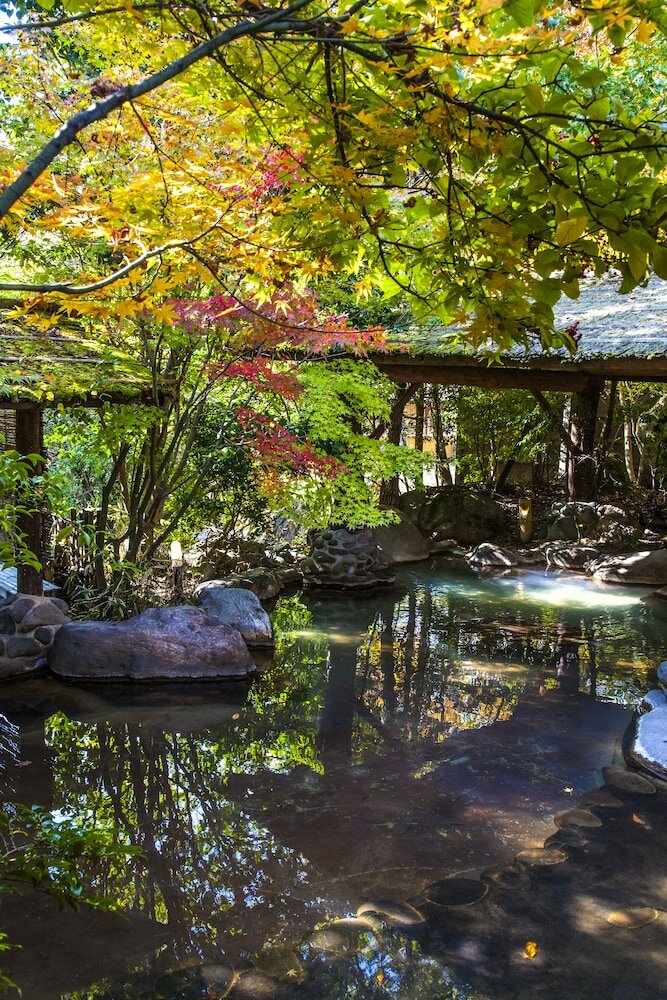 Фото Kurokawa Onsen Satonoyu Waraku