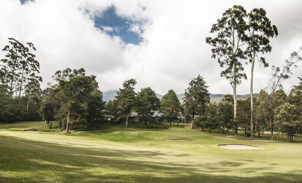 Фото Oak Ray Summer Hill Breeze