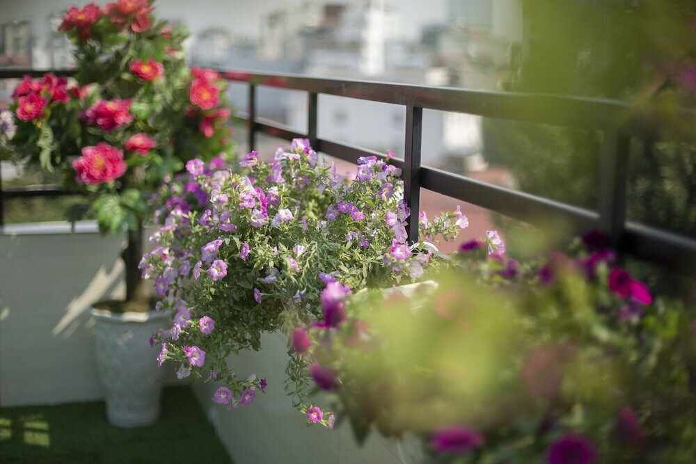 Фото Hanoi Lotus Boutique Hotel