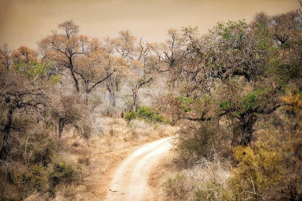 Фото Rhino Walking Safaris