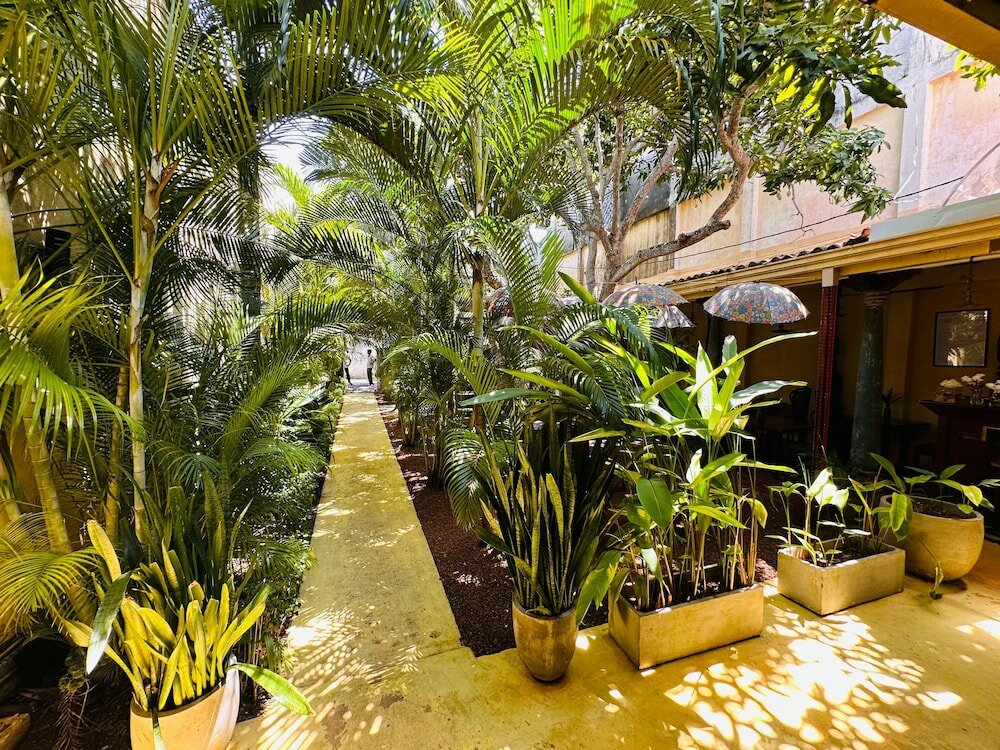 Фото Mango House