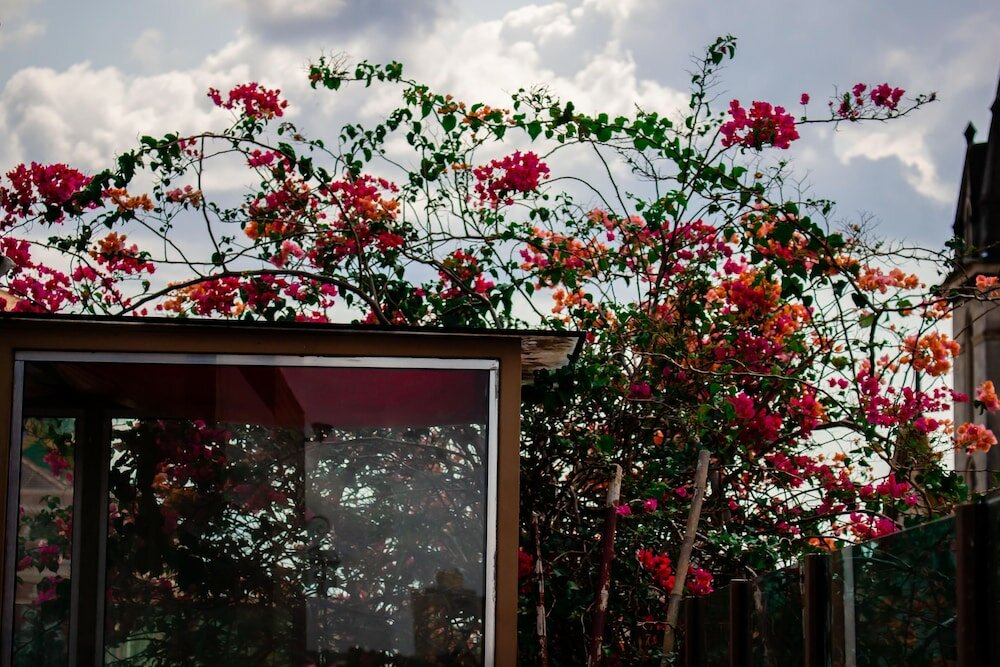 Фото Boutique Hotel Casa Teatro