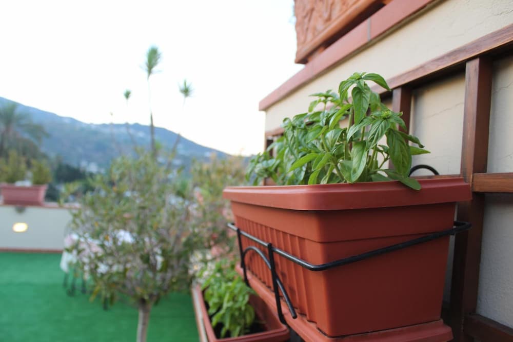 Фото La Filadelfia