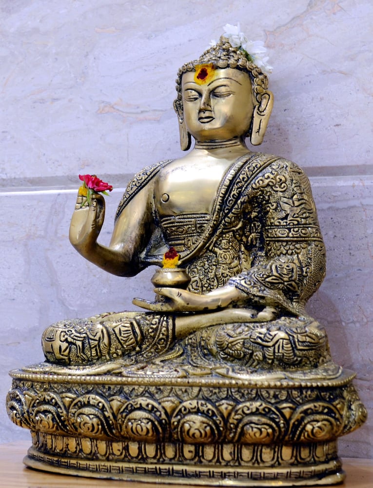 Фото Hotel tr Residency