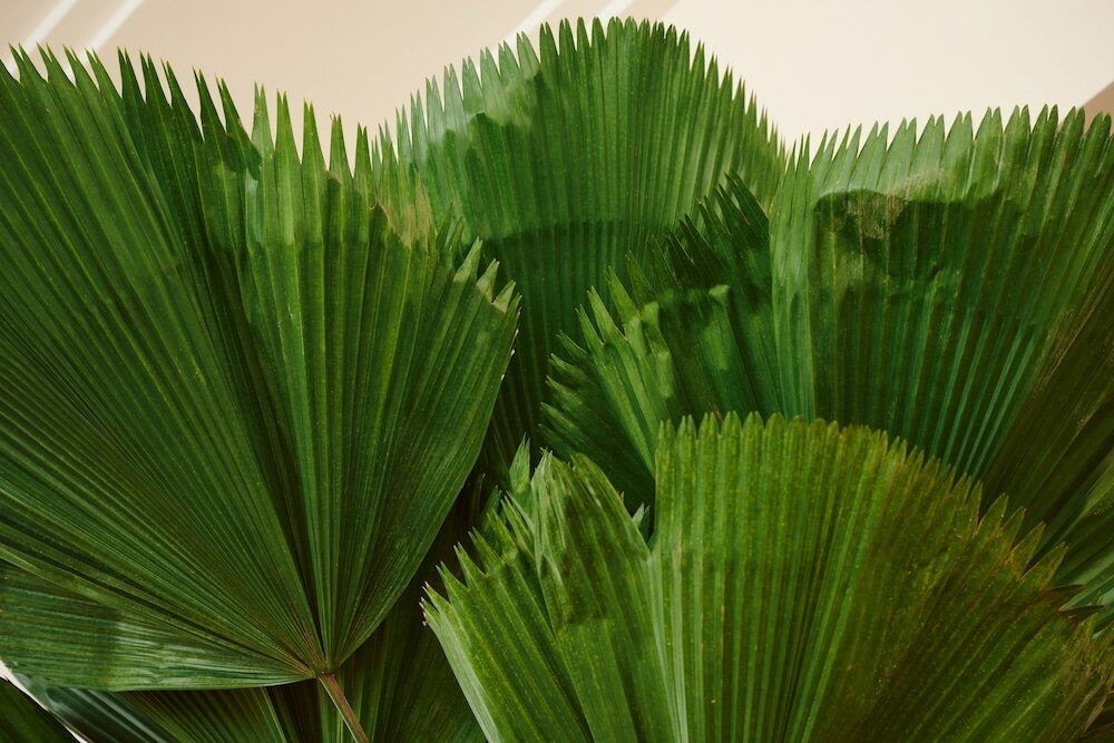 Фото Hotel Greystone