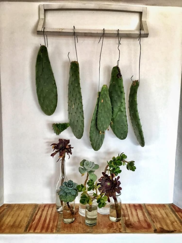 Фото Herdade Do Touril