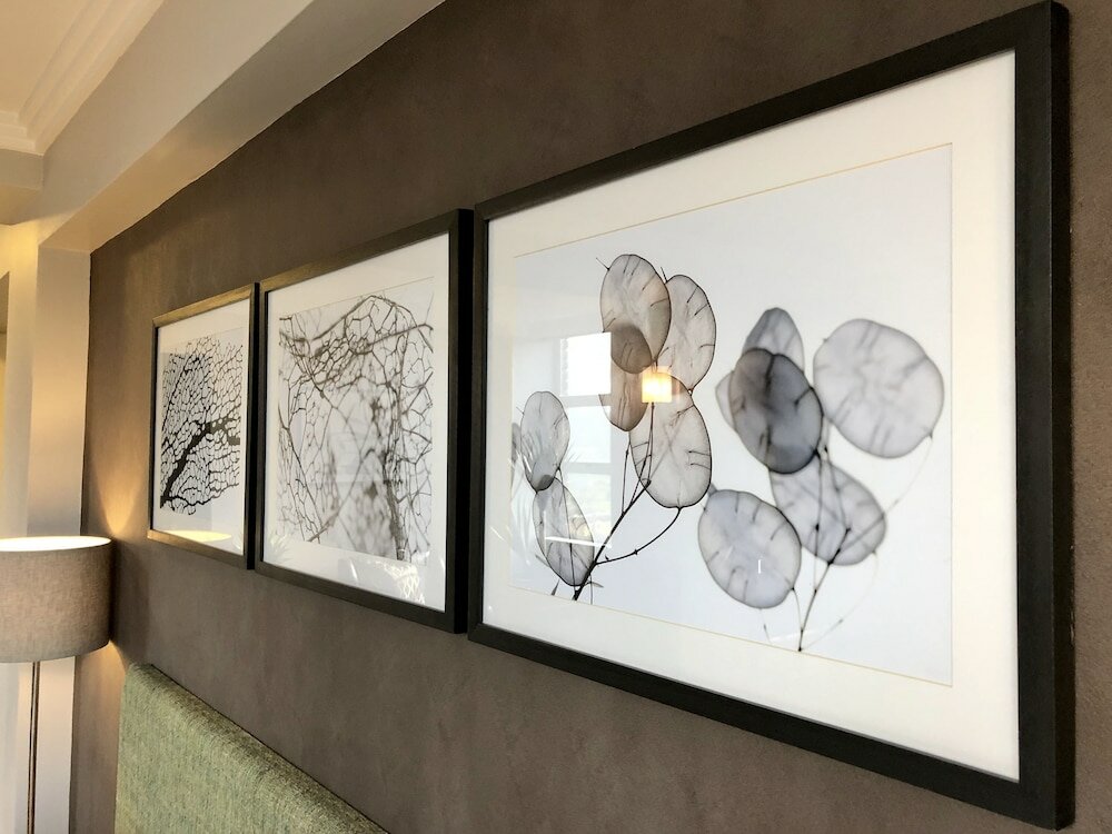 Фото Belaire Suites Hotel