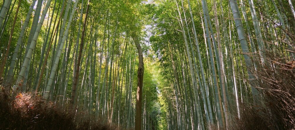 Фото Guest House Atagoya