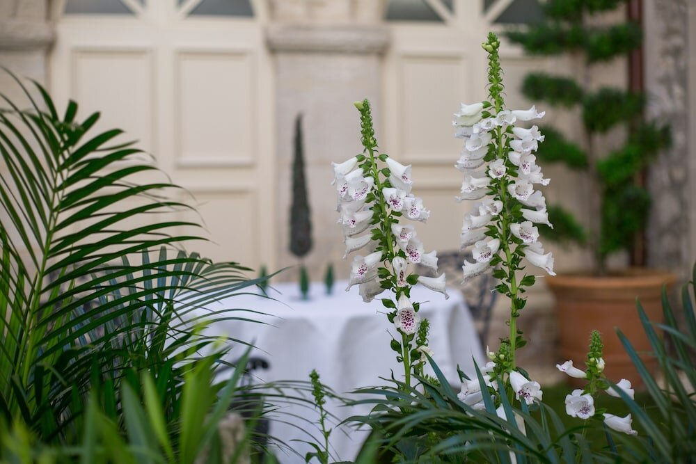 Фото Hotel d'Europe