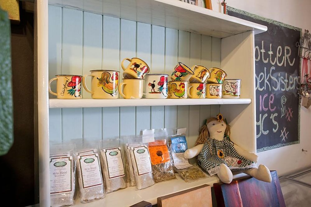 Фото Bella de Karoo