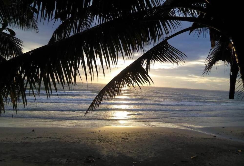 Фото Apple Beachfront Resort