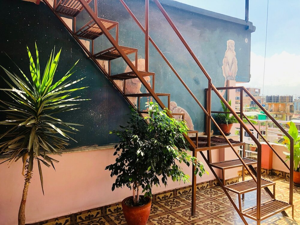 Фото Backyard Hotel