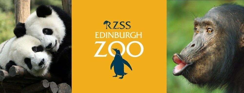 Фото No. 32 Hotel