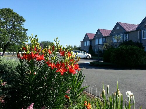 Внешний вид отеля Granite Town Hotel в Приходе Святого Георгии, фото 3