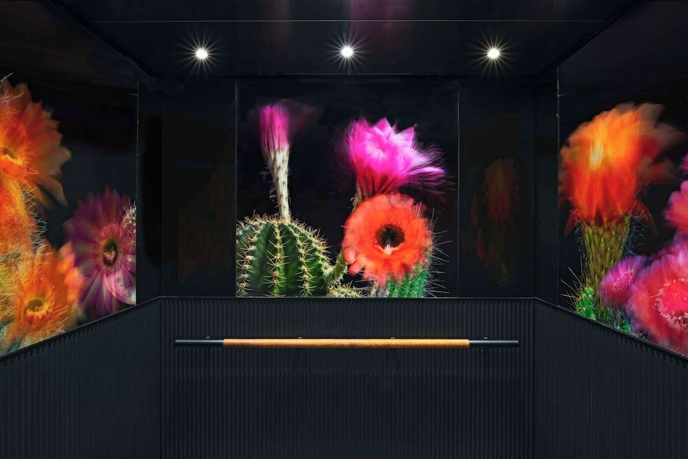 Фото Thompson Austin, part of Hyatt