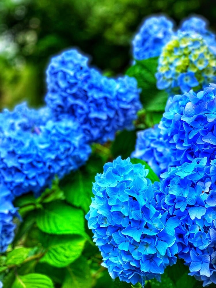 Фото Kinosato Yamanoyu