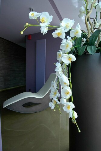 Гостиница Les Fleurs Boutique Hotel в Софии