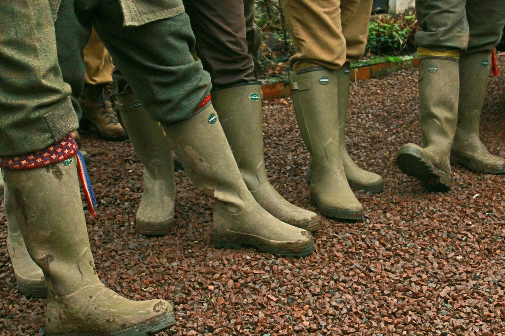 Фото Annandale Arms Hotel