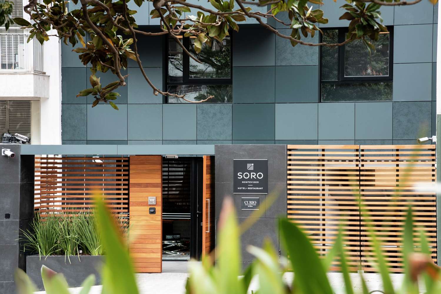 Фото Soro Montevideo, Curio Collection by Hilton